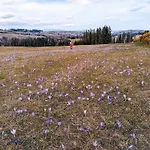 Rabanisko Z Sauna Finska * Dzianisz