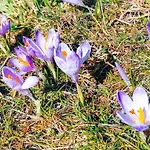 Rabanisko Z Sauna Finska Dzianisz