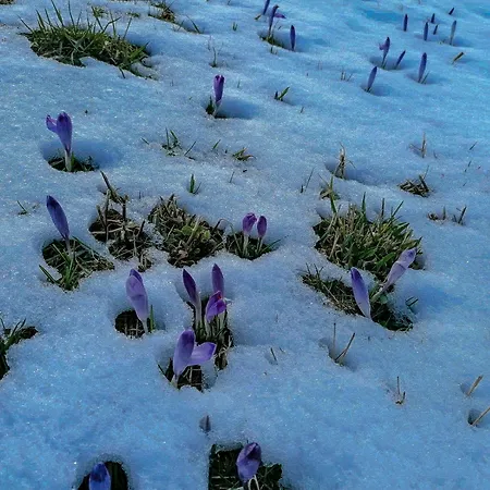 Rabanisko Z Sauna Finska *