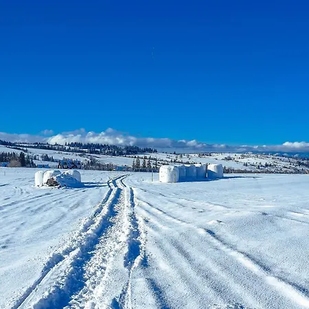 Villa Rabanisko Z Sauna Finska