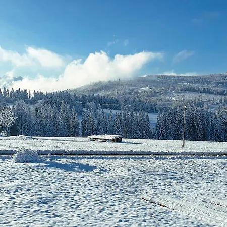 Rabanisko Z Sauna Finska Villa